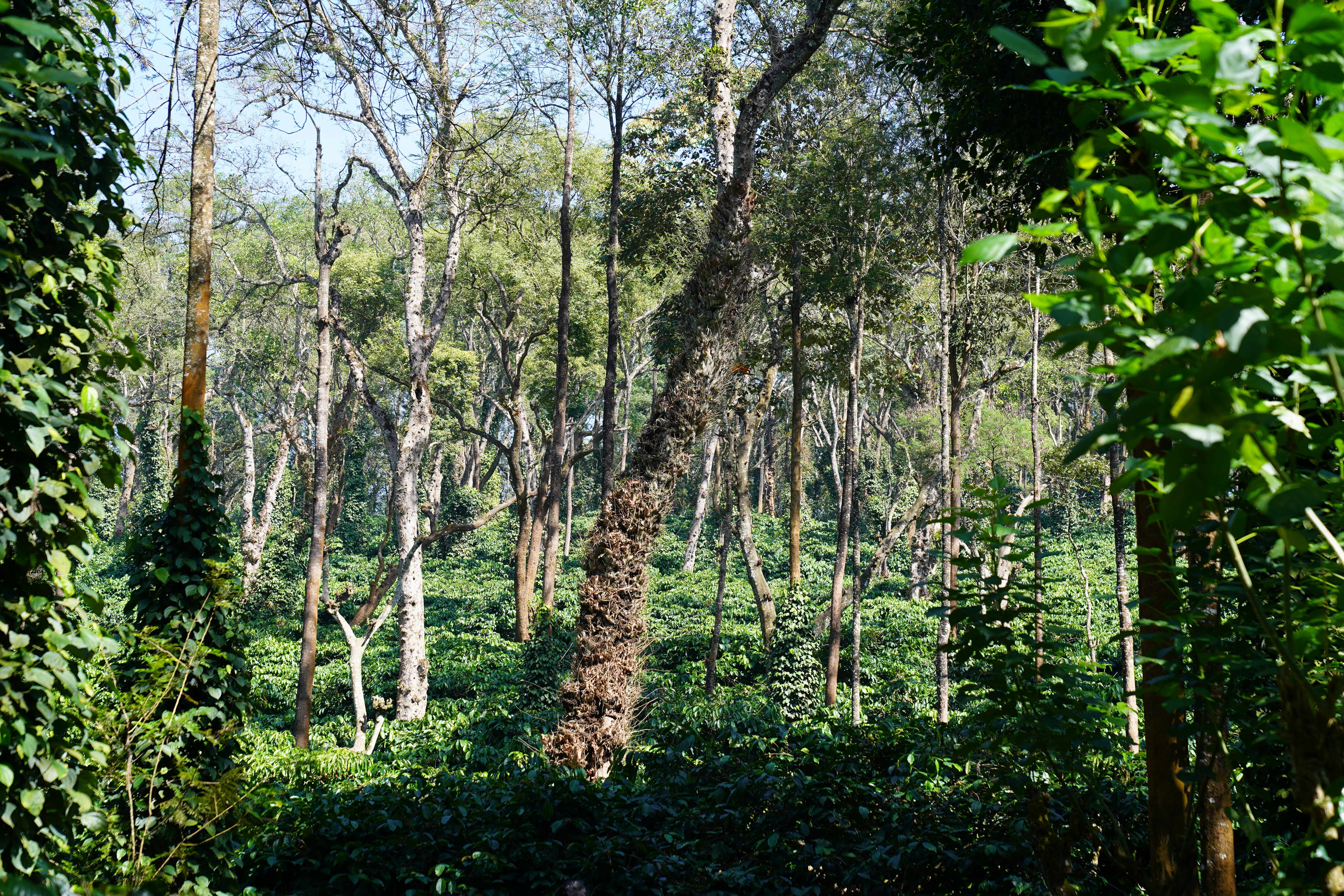 Biodiversity Preservation