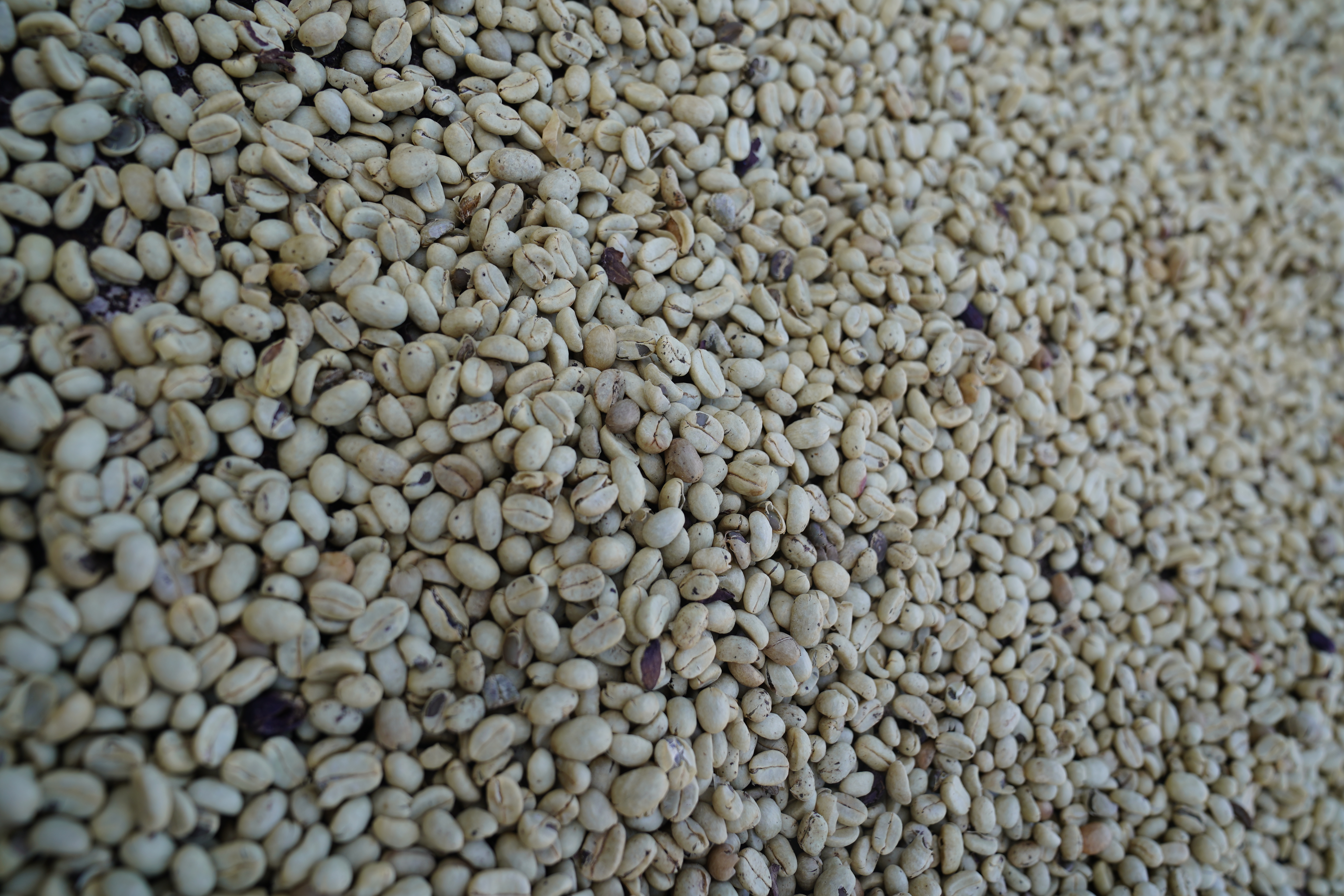 Coffee beans