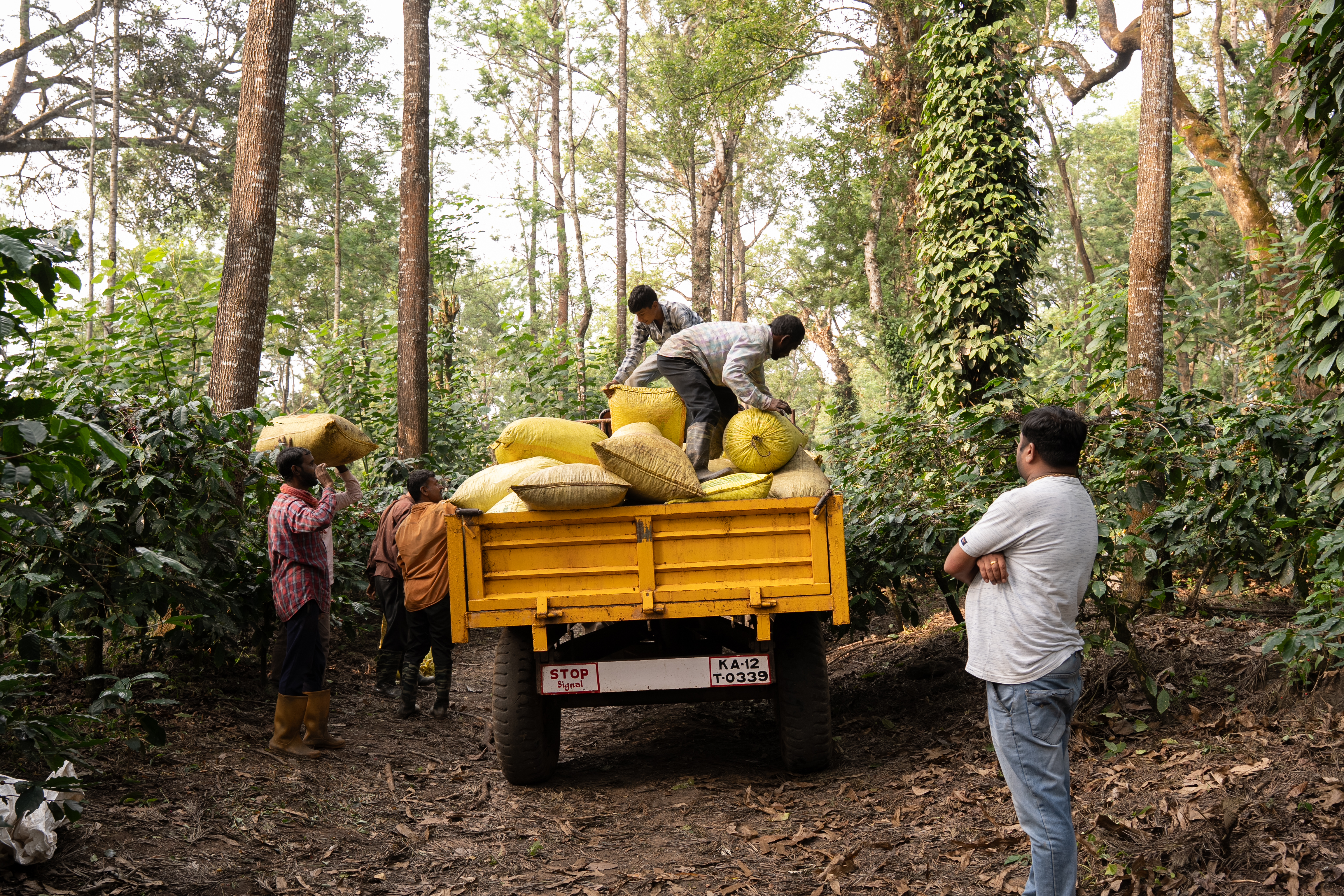 Prospects for Professional and Personal Growth